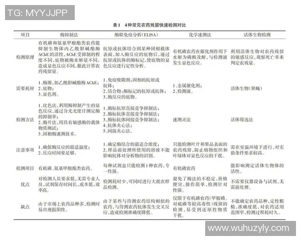 赛后分析:武汉排球队与深圳排球队在比赛中的灵活性对比探讨 赛后分析:武汉排球队与深圳排球队在比赛中的灵活性对比探讨