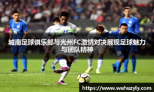 城南足球俱乐部与光州FC激情对决展现足球魅力与团队精神